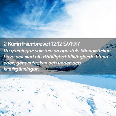 Picture 02 - 2 Korinthierbrevet 12:12 SV1917 - De gärningar som äro en apostels kännemärken - Bible Verse Picture