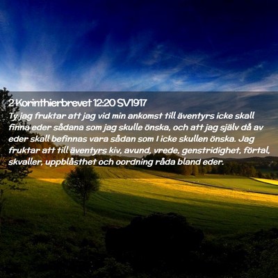 Picture 02 - 2 Korinthierbrevet 12:20 SV1917 - Ty jag fruktar att jag vid min ankomst till - Bible Verse Picture