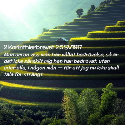 Picture 02 - 2 Korinthierbrevet 2:5 SV1917 - Men om en viss man har vållat bedrövelse, så - Bible Verse Picture