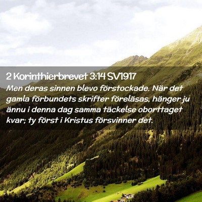 Picture 02 - 2 Korinthierbrevet 3:14 SV1917 - Men deras sinnen blevo förstockade. När det - Bible Verse Picture