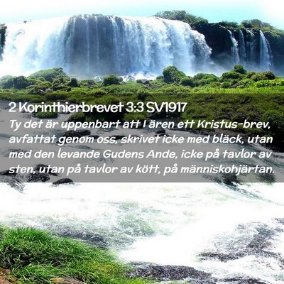 Picture 02 - 2 Korinthierbrevet 3:3 SV1917 - Ty det är uppenbart att I ären ett - Bible Verse Picture
