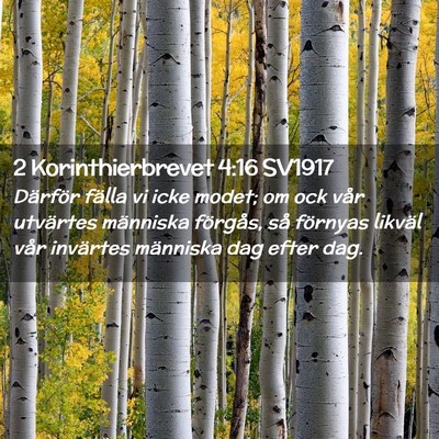 Picture 02 - 2 Korinthierbrevet 4:16 SV1917 - Därför fälla vi icke modet; om ock vår - Bible Verse Picture