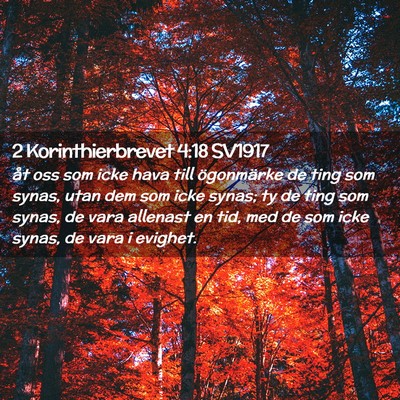Picture 02 - 2 Korinthierbrevet 4:18 SV1917 - åt oss som icke hava till ögonmärke de ting - Bible Verse Picture