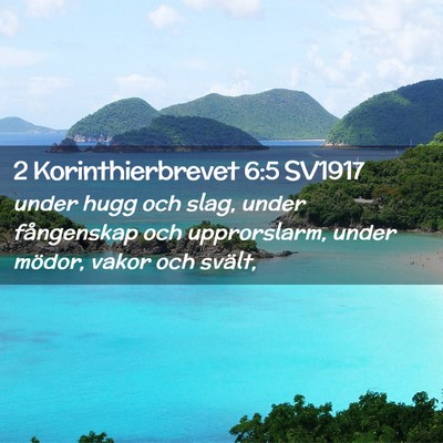 Picture 02 - 2 Korinthierbrevet 6:5 SV1917 - under hugg och slag, under fångenskap och - Bible Verse Picture