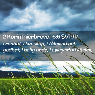 Picture 02 - 2 Korinthierbrevet 6:6 SV1917 - i renhet, i kunskap, i tålamod och godhet, i - Bible Verse Picture
