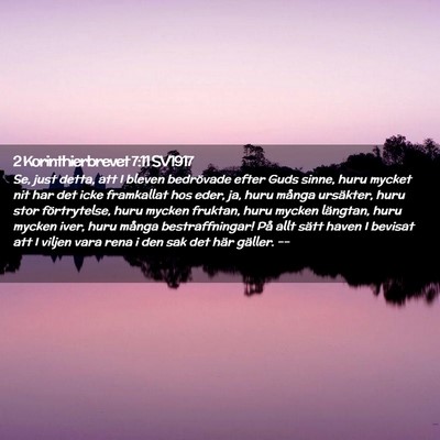 Picture 02 - 2 Korinthierbrevet 7:11 SV1917 - Se, just detta, att I bleven bedrövade efter - Bible Verse Picture