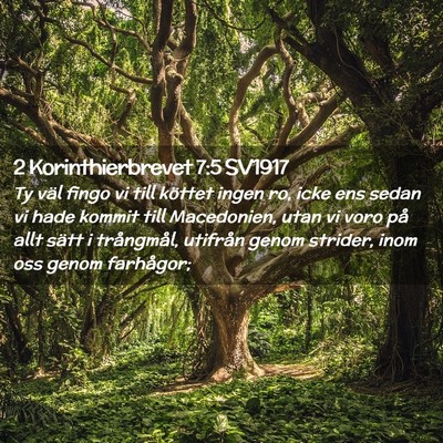 Picture 02 - 2 Korinthierbrevet 7:5 SV1917 - Ty väl fingo vi till köttet ingen ro, icke ens - Bible Verse Picture