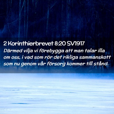 Picture 02 - 2 Korinthierbrevet 8:20 SV1917 - Därmed vilja vi förebygga att man talar illa om - Bible Verse Picture