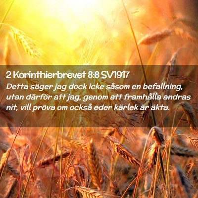 Picture 02 - 2 Korinthierbrevet 8:8 SV1917 - Detta säger jag dock icke såsom en befallning, - Bible Verse Picture