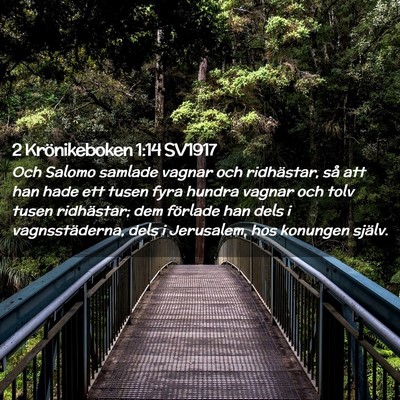 Picture 02 - 2 Krönikeboken 1:14 SV1917 - Och Salomo samlade vagnar och ridhästar, så att - Bible Verse Picture