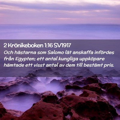 Picture 02 - 2 Krönikeboken 1:16 SV1917 - Och hästarna som Salomo lät anskaffa infördes - Bible Verse Picture
