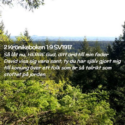 Picture 02 - 2 Krönikeboken 1:9 SV1917 - Så låt nu, HERRE Gud, ditt ord till min fader - Bible Verse Picture