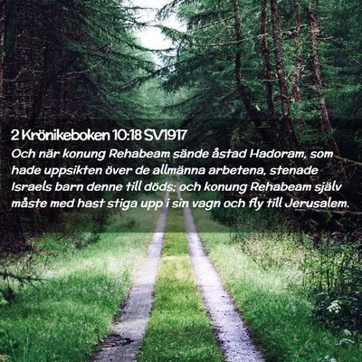 Picture 02 - 2 Krönikeboken 10:18 SV1917 - Och när konung Rehabeam sände åstad Hadoram, - Bible Verse Picture