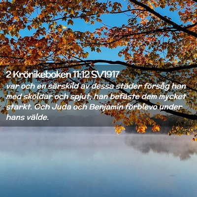 Picture 02 - 2 Krönikeboken 11:12 SV1917 - var och en särskild av dessa städer försåg - Bible Verse Picture