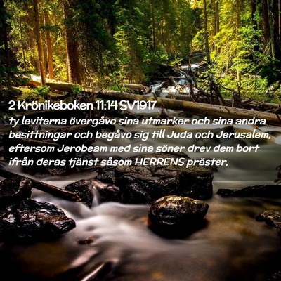 Picture 02 - 2 Krönikeboken 11:14 SV1917 - ty leviterna övergåvo sina utmarker och sina - Bible Verse Picture
