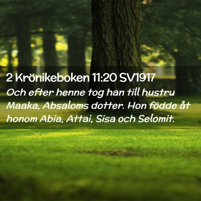 Picture 02 - 2 Krönikeboken 11:20 SV1917 - Och efter henne tog han till hustru Maaka, - Bible Verse Picture