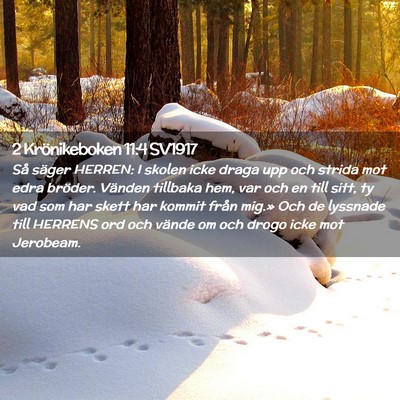 Picture 02 - 2 Krönikeboken 11:4 SV1917 - Så säger HERREN: I skolen icke draga upp och - Bible Verse Picture