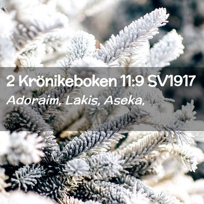 Picture 02 - 2 Krönikeboken 11:9 SV1917 - Adoraim, Lakis, - Bible Verse Picture