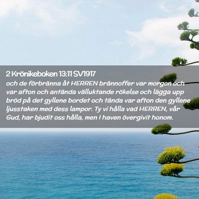 Picture 02 - 2 Krönikeboken 13:11 SV1917 - och de förbränna åt HERREN brännoffer var - Bible Verse Picture