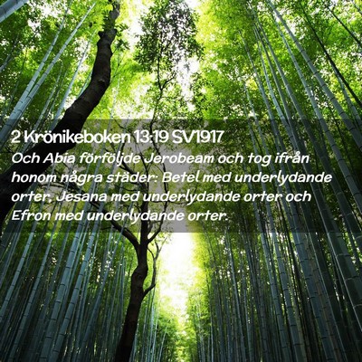 Picture 02 - 2 Krönikeboken 13:19 SV1917 - Och Abia förföljde Jerobeam och tog ifrån - Bible Verse Picture