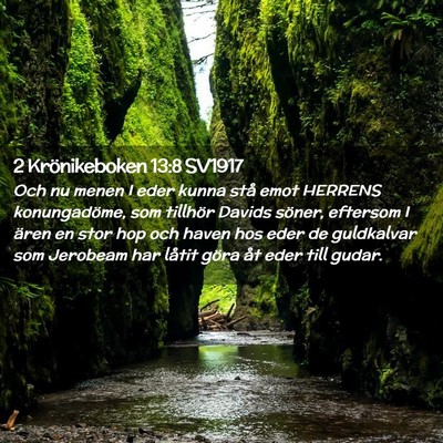 Picture 02 - 2 Krönikeboken 13:8 SV1917 - Och nu menen I eder kunna stå emot HERRENS - Bible Verse Picture
