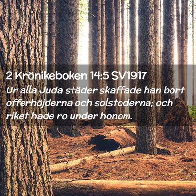 Picture 02 - 2 Krönikeboken 14:5 SV1917 - Ur alla Juda städer skaffade han bort - Bible Verse Picture