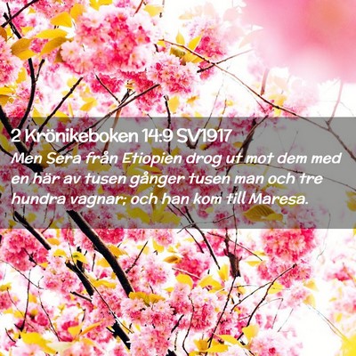 Picture 02 - 2 Krönikeboken 14:9 SV1917 - Men Sera från Etiopien drog ut mot dem med en - Bible Verse Picture