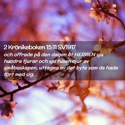Picture 02 - 2 Krönikeboken 15:11 SV1917 - och offrade på den dagen åt HERREN sju hundra - Bible Verse Picture