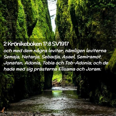 Picture 02 - 2 Krönikeboken 17:8 SV1917 - och med dem några leviter, nämligen leviterna - Bible Verse Picture
