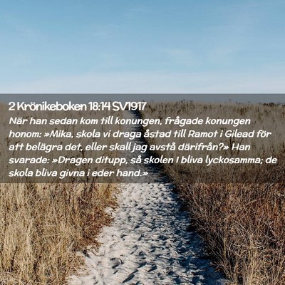 Picture 02 - 2 Krönikeboken 18:14 SV1917 - När han sedan kom till konungen, frågade - Bible Verse Picture
