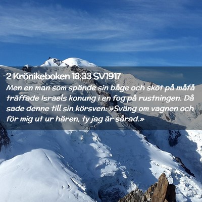 Picture 02 - 2 Krönikeboken 18:33 SV1917 - Men en man som spände sin båge och sköt på - Bible Verse Picture