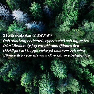 Picture 02 - 2 Krönikeboken 2:8 SV1917 - Och sänd mig cederträ, cypressträ och - Bible Verse Picture