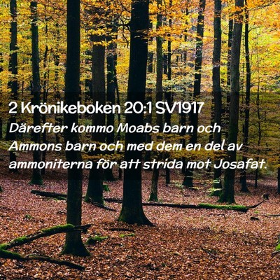 Picture 02 - 2 Krönikeboken 20:1 SV1917 - Därefter kommo Moabs barn och Ammons barn och - Bible Verse Picture