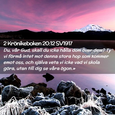 Picture 02 - 2 Krönikeboken 20:12 SV1917 - Du, vår Gud, skall du icke hålla dom över dem? - Bible Verse Picture