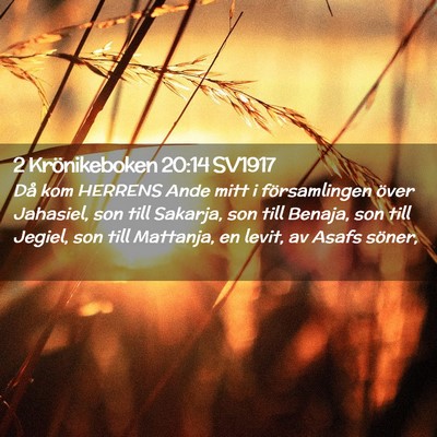 Picture 02 - 2 Krönikeboken 20:14 SV1917 - Då kom HERRENS Ande mitt i församlingen över - Bible Verse Picture