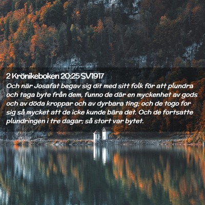 Picture 02 - 2 Krönikeboken 20:25 SV1917 - Och när Josafat begav sig dit med sitt folk för - Bible Verse Picture