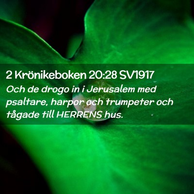 Picture 02 - 2 Krönikeboken 20:28 SV1917 - Och de drogo in i Jerusalem med psaltare, harpor - Bible Verse Picture