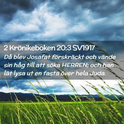 Picture 02 - 2 Krönikeboken 20:3 SV1917 - Då blev Josafat förskräckt och vände sin håg - Bible Verse Picture