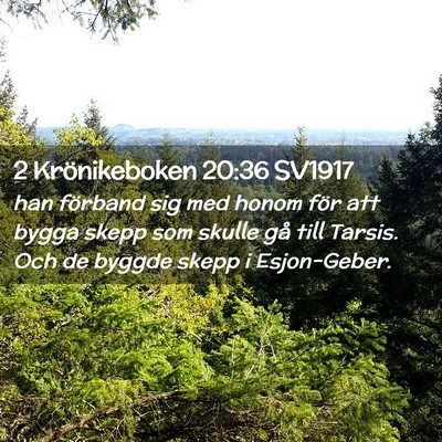 Picture 02 - 2 Krönikeboken 20:36 SV1917 - han förband sig med honom för att bygga skepp - Bible Verse Picture