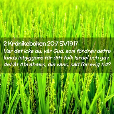 Picture 02 - 2 Krönikeboken 20:7 SV1917 - Var det icke du, vår Gud, som fördrev detta - Bible Verse Picture
