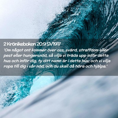Picture 02 - 2 Krönikeboken 20:9 SV1917 - 'Om något ont kommer över oss, svärd, - Bible Verse Picture