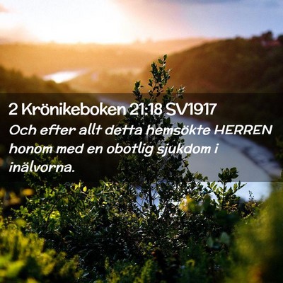 Picture 02 - 2 Krönikeboken 21:18 SV1917 - Och efter allt detta hemsökte HERREN honom med - Bible Verse Picture