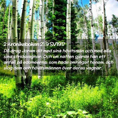 Picture 02 - 2 Krönikeboken 21:9 SV1917 - Då drog Joram dit med sina hövitsmän och med - Bible Verse Picture