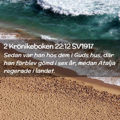 Picture 02 - 2 Krönikeboken 22:12 SV1917 - Sedan var han hos dem i Guds hus, där han - Bible Verse Picture