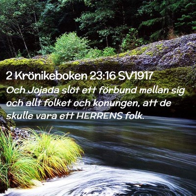 Picture 02 - 2 Krönikeboken 23:16 SV1917 - Och Jojada slöt ett förbund mellan sig och allt - Bible Verse Picture