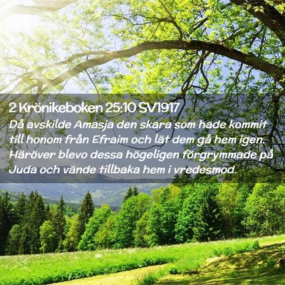 Picture 02 - 2 Krönikeboken 25:10 SV1917 - Då avskilde Amasja den skara som hade kommit - Bible Verse Picture