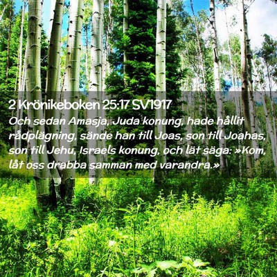 Picture 02 - 2 Krönikeboken 25:17 SV1917 - Och sedan Amasja, Juda konung, hade hållit - Bible Verse Picture