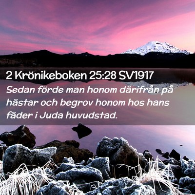 Picture 02 - 2 Krönikeboken 25:28 SV1917 - Sedan förde man honom därifrån på hästar och - Bible Verse Picture