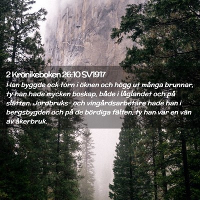 Picture 02 - 2 Krönikeboken 26:10 SV1917 - Han byggde ock torn i öknen och högg ut många - Bible Verse Picture