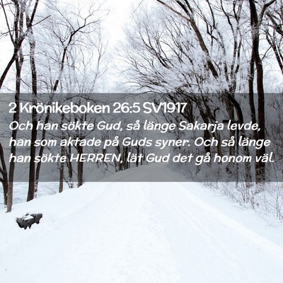 Picture 02 - 2 Krönikeboken 26:5 SV1917 - Och han sökte Gud, så länge Sakarja levde, han - Bible Verse Picture